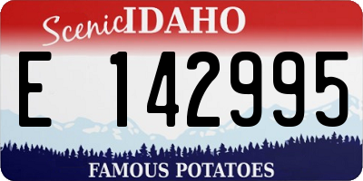 ID license plate E142995
