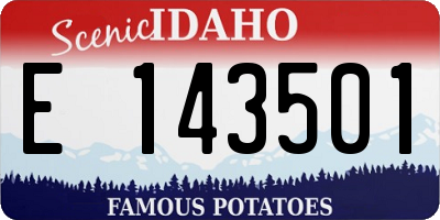 ID license plate E143501