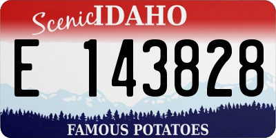 ID license plate E143828