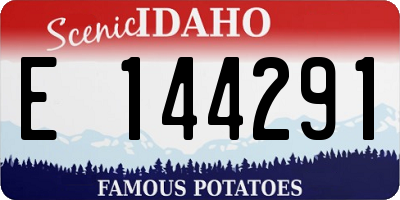 ID license plate E144291
