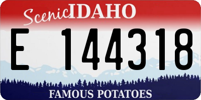 ID license plate E144318