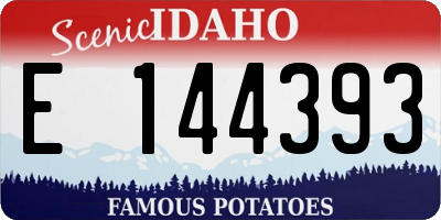 ID license plate E144393