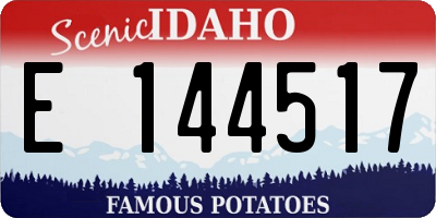 ID license plate E144517