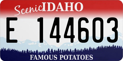 ID license plate E144603