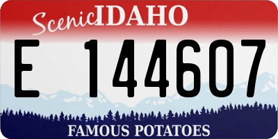 ID license plate E144607