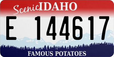 ID license plate E144617