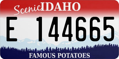 ID license plate E144665
