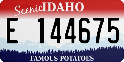 ID license plate E144675