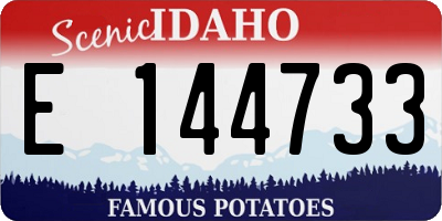 ID license plate E144733