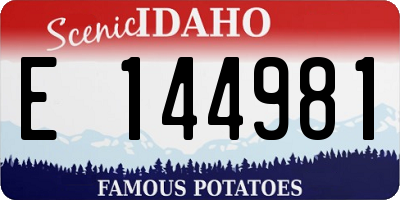 ID license plate E144981