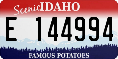 ID license plate E144994