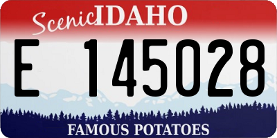 ID license plate E145028