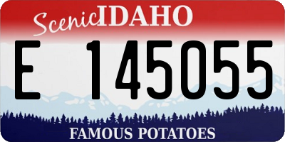 ID license plate E145055