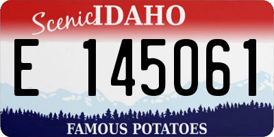 ID license plate E145061