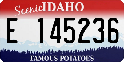 ID license plate E145236