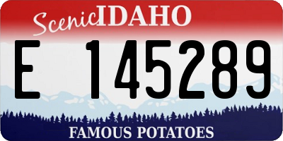 ID license plate E145289