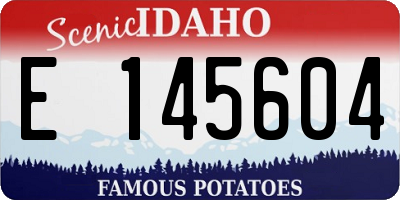 ID license plate E145604
