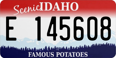 ID license plate E145608
