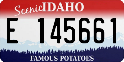 ID license plate E145661