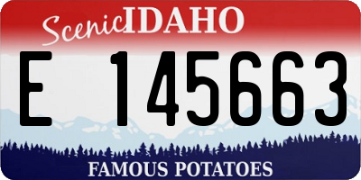 ID license plate E145663