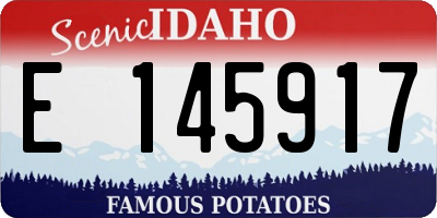 ID license plate E145917