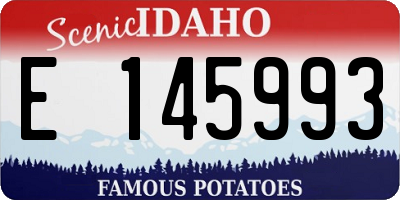 ID license plate E145993