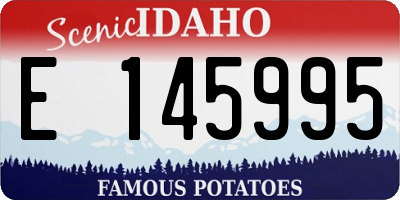 ID license plate E145995