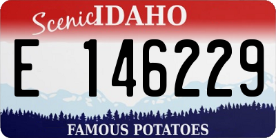 ID license plate E146229