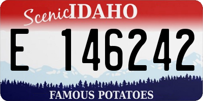 ID license plate E146242