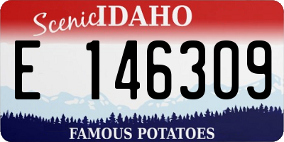 ID license plate E146309