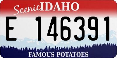 ID license plate E146391