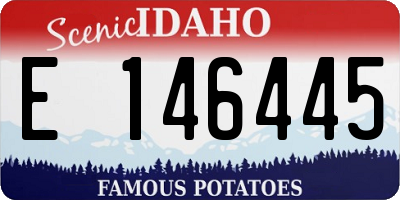 ID license plate E146445