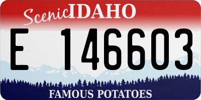 ID license plate E146603