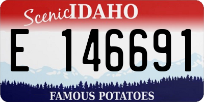 ID license plate E146691