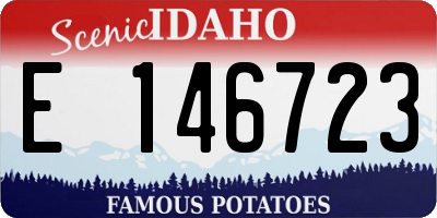 ID license plate E146723