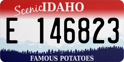 ID license plate E146823
