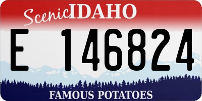 ID license plate E146824