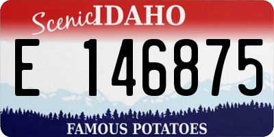 ID license plate E146875