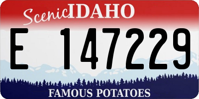 ID license plate E147229