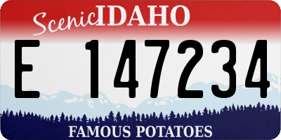 ID license plate E147234