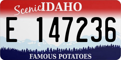 ID license plate E147236