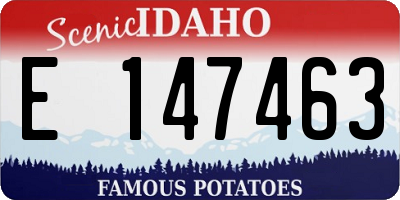 ID license plate E147463