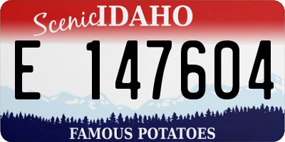 ID license plate E147604