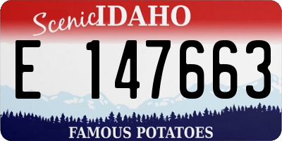 ID license plate E147663