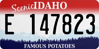 ID license plate E147823