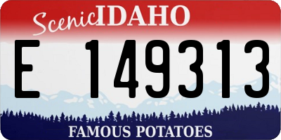 ID license plate E149313