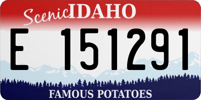 ID license plate E151291