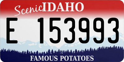 ID license plate E153993