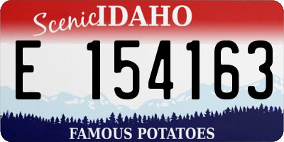 ID license plate E154163
