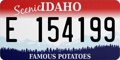 ID license plate E154199